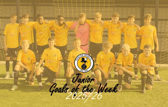 Junior Goals of the Week #5