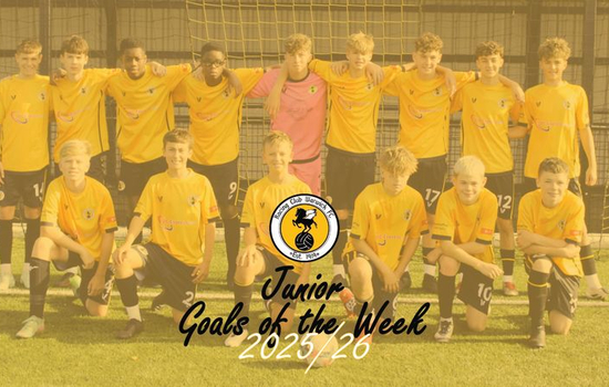 Junior Goals of the Week #2